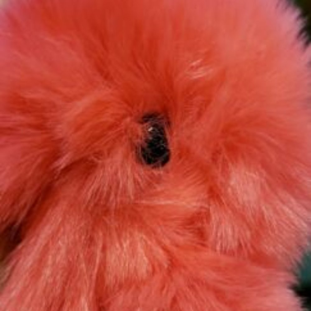Furry Bunny Rabbit Plush Keychain - Picture 6 of 7